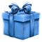 Mystery Gift
